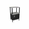 Luxor Garage Shop Utility Cart w/Cabinet, 250 lb. Capacity, 24"L x 18"W x 42-1/2"H, Gray